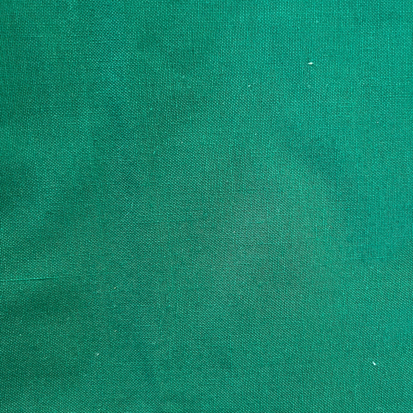 Green Cotton Canvas: 1 yd